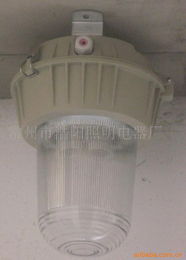 常州浩阳照明电器厂 专业防爆灯具与电器产品全览